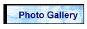 Photo Gallery